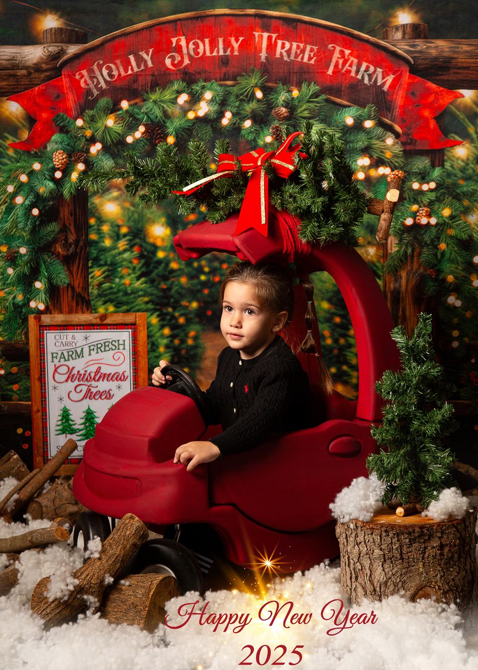 epaggelmatiki oikogeneiaki fotografisi