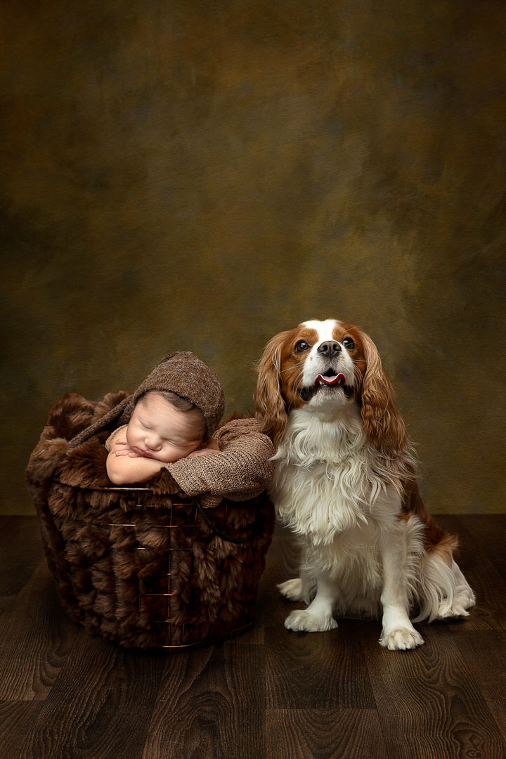 newborn tiny toes photo athina newborn tiny toes photo athina