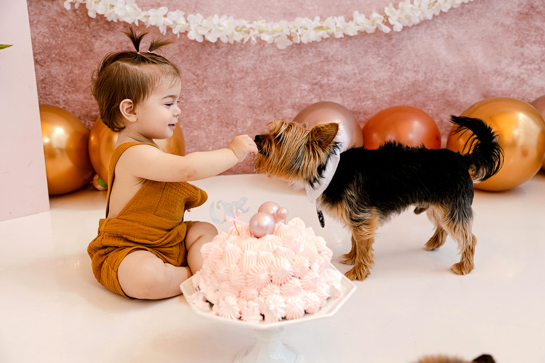 smash cake photography greece smash cake photography greece